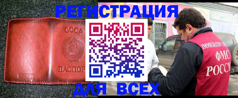 прописка в Сольцах